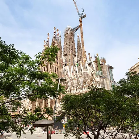 Click&flat Gaudi Dream Ii *