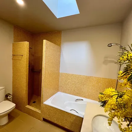 Luxury Modernist Penthouse Next Paseo De Gracia Apartment *
