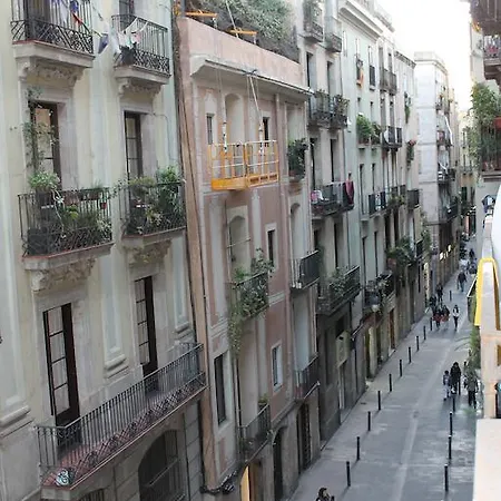 Casa de hóspedes Dragonflybcn *