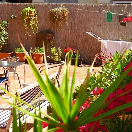 Paraiso * Barcelona