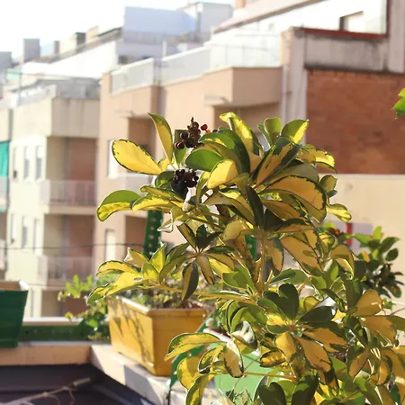One Sants Auberge de jeunesse Barcelone