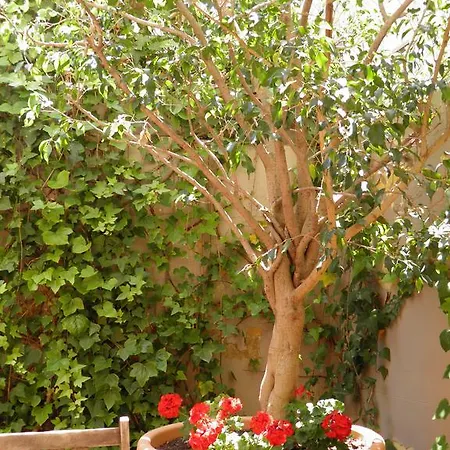 شقة Suitur Courtyard برشلونة
