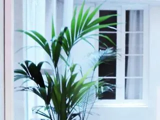 拉岛旅馆 招待所