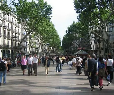 Plaza Universitat Barcelona